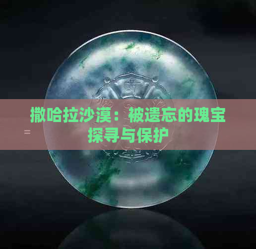 撒哈拉沙漠：被遗忘的瑰宝探寻与保护