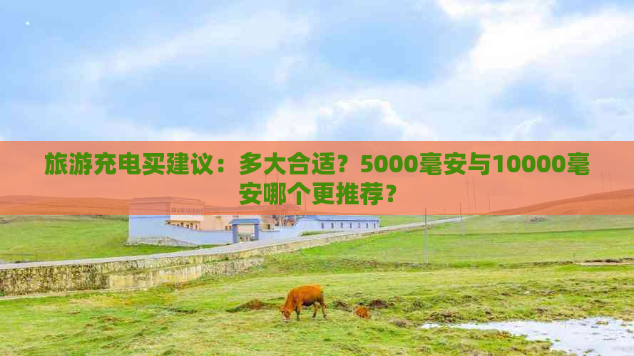 旅游充电买建议：多大合适？5000毫安与10000毫安哪个更推荐？