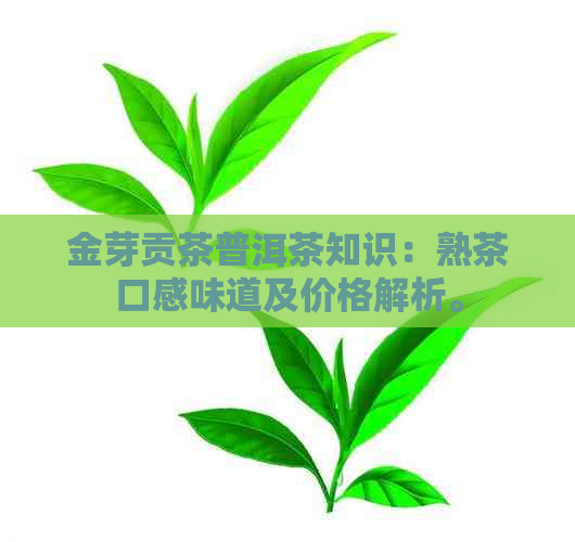 金芽贡茶普洱茶知识：熟茶口感味道及价格解析。