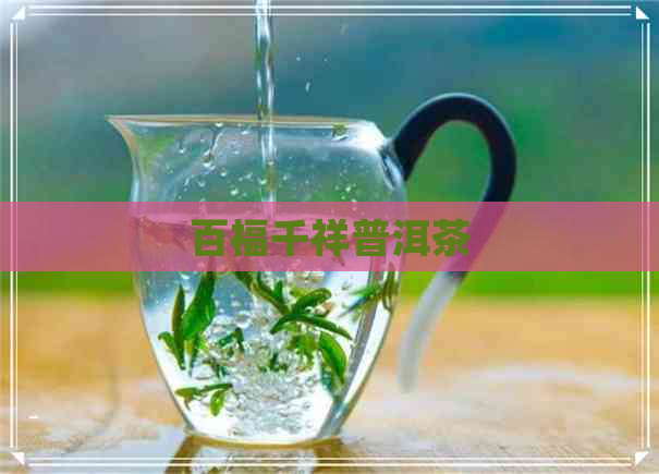 百福千祥普洱茶