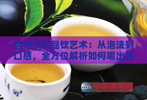 普洱茶的品饮艺术：从泡法到口感，全方位解析如何喝出效果