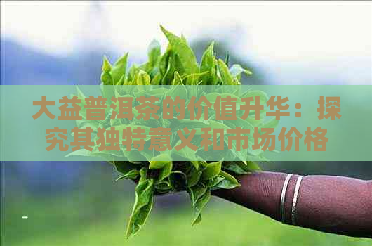 大益普洱茶的价值升华：探究其独特意义和市场价格