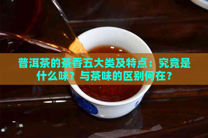 普洱茶的茶香五大类及特点：究竟是什么味？与茶味的区别何在？