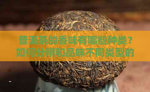 普洱茶的香味有哪些种类？如何分辨和品味不同类型的普洱茶香味？