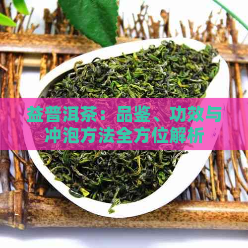 益普洱茶：品鉴、功效与冲泡方法全方位解析