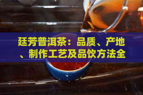 廷芳普洱茶：品质、产地、制作工艺及品饮方法全方位解析