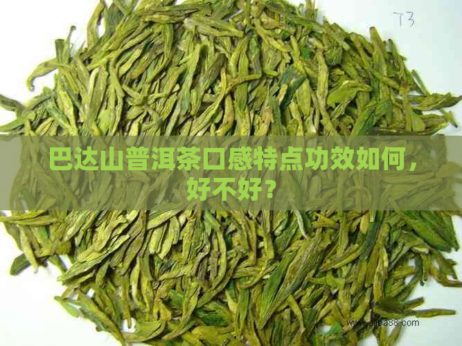 巴达山普洱茶口感特点功效如何，好不好？