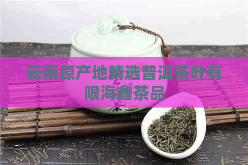 云南原产地精选普洱茶叶有限海鑫茶品