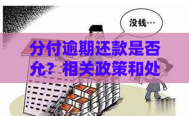 分付逾期还款是否允？相关政策和处理流程详解