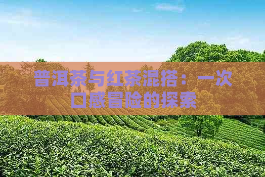 普洱茶与红茶混搭：一次口感冒险的探索