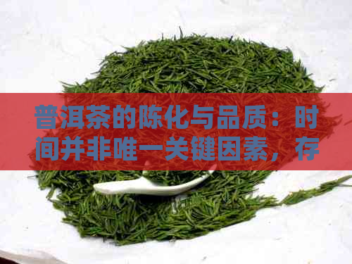 普洱茶的陈化与品质：时间并非唯一关键因素，存放也很重要