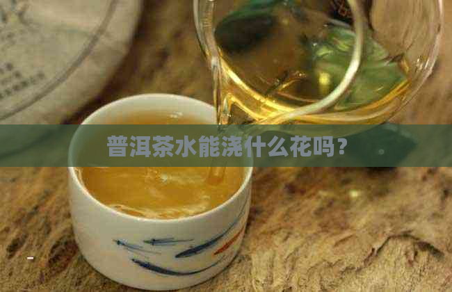 普洱茶水能浇什么花吗？