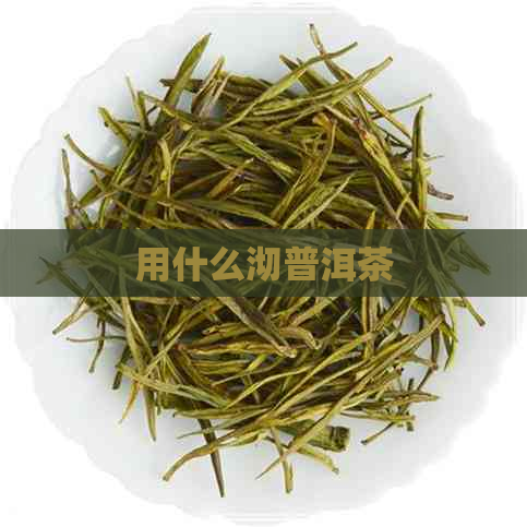 用什么沏普洱茶