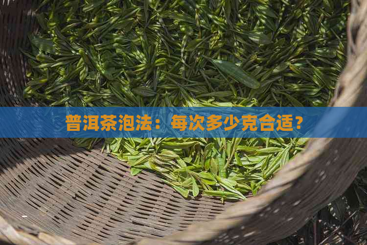 普洱茶泡法：每次多少克合适？