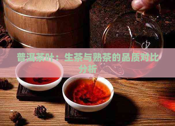 普洱茶叶：生茶与熟茶的品质对比分析