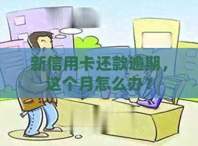 新信用卡还款逾期，这个月怎么办？