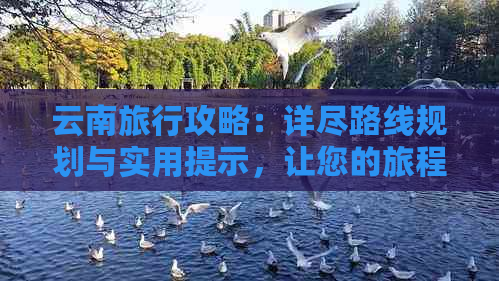 云南旅行攻略：详尽路线规划与实用提示，让您的旅程更加完美