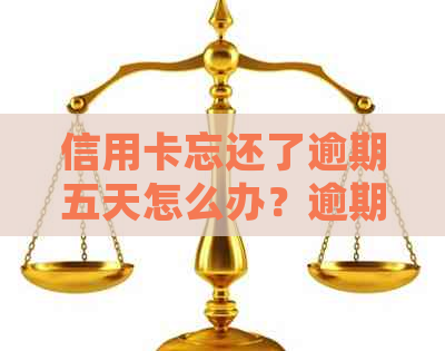 信用卡忘还了逾期五天怎么办？逾期五天后的处理方式及可能的信用记录影响