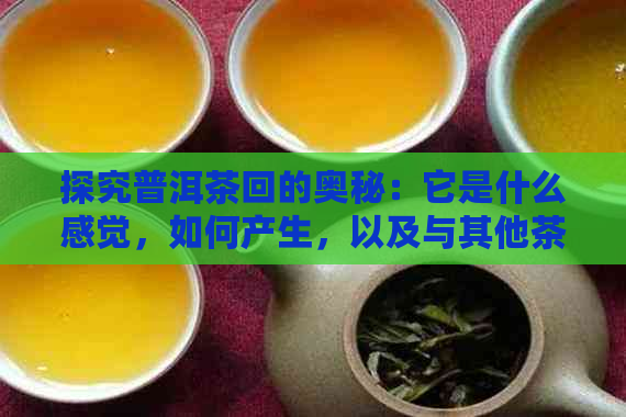 探究普洱茶回的奥秘：它是什么感觉，如何产生，以及与其他茶叶的区别