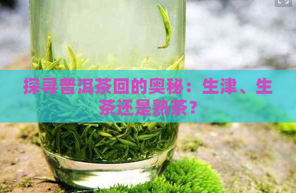 探寻普洱茶回的奥秘：生津、生茶还是熟茶？