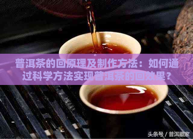 普洱茶的回原理及制作方法：如何通过科学方法实现普洱茶的回效果？