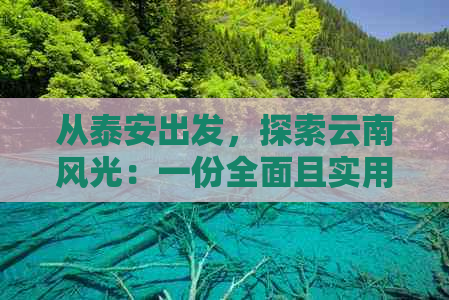 从泰安出发，探索云南风光：一份全面且实用的旅游指南