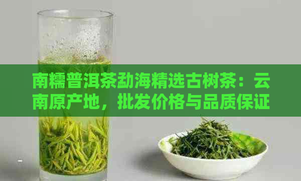 南糯普洱茶勐海精选古树茶：云南原产地，批发价格与品质保证