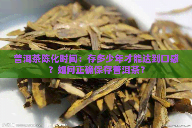 普洱茶陈化时间：存多少年才能达到口感？如何正确保存普洱茶？