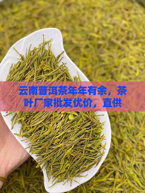 云南普洱茶年年有余，茶叶厂家批发优价，直供