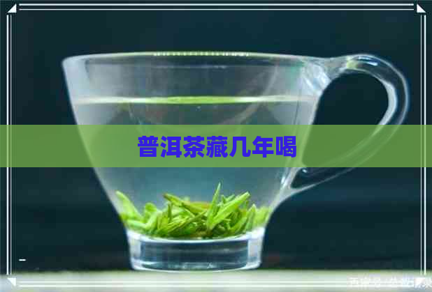 普洱茶藏几年喝