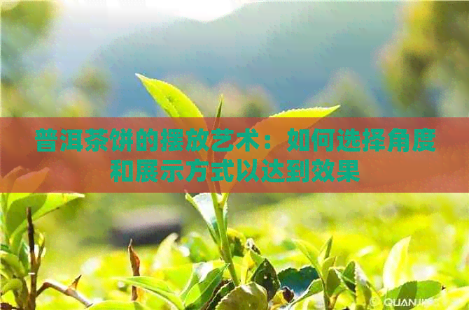 普洱茶饼的摆放艺术：如何选择角度和展示方式以达到效果