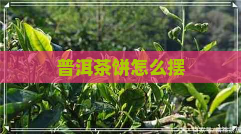 普洱茶饼怎么摆