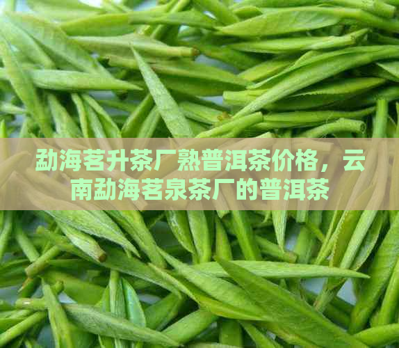 勐海茗升茶厂熟普洱茶价格，云南勐海茗泉茶厂的普洱茶