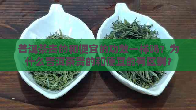 普洱茶贵的和便宜的功效一样吗？为什么普洱茶贵的和便宜的有区别？