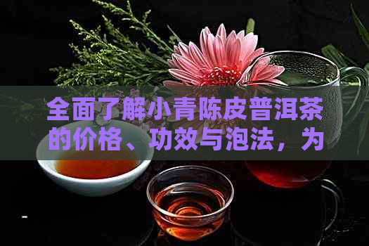 全面了解小青陈皮普洱茶的价格、功效与泡法，为您提供专业的选购建议