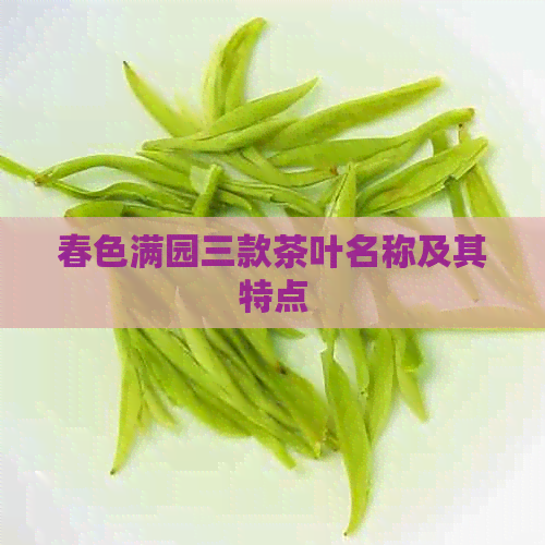 春色满园三款茶叶名称及其特点