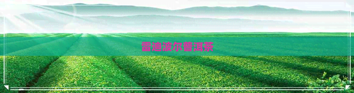 雷迪波尔普洱茶