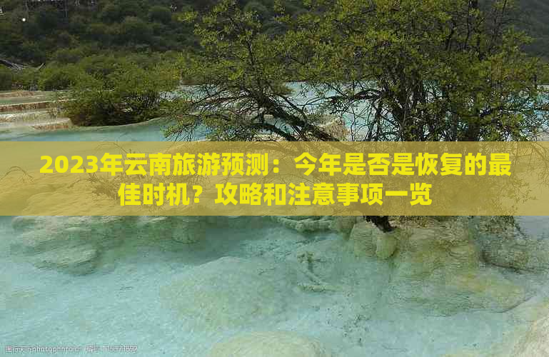 2023年云南旅游预测：今年是否是恢复的更佳时机？攻略和注意事项一览