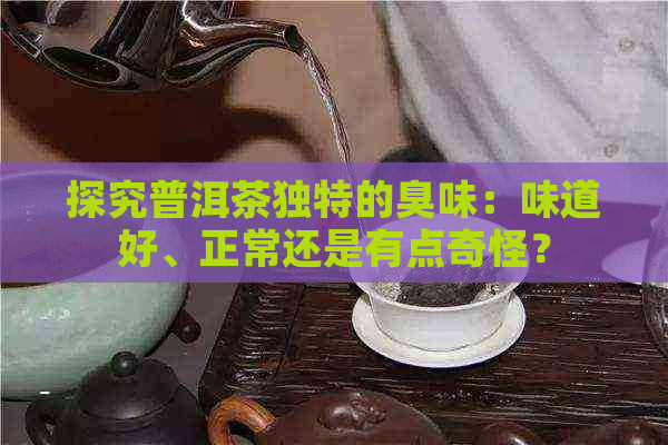 探究普洱茶独特的臭味：味道好、正常还是有点奇怪？