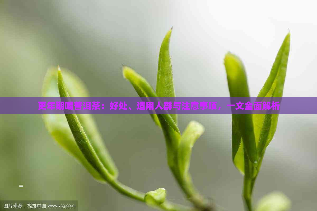 更年期喝普洱茶：好处、适用人群与注意事项，一文全面解析