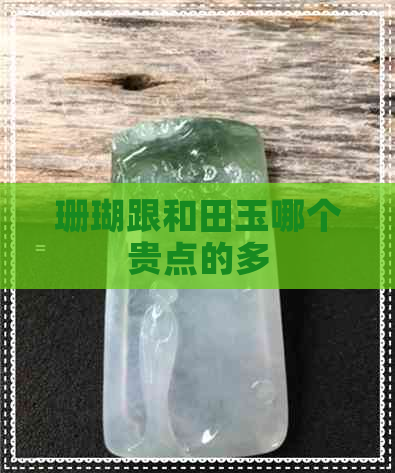 珊瑚跟和田玉哪个贵点的多