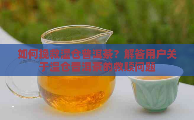 如何挽救湿仓普洱茶？解答用户关于湿仓普洱茶的救赎问题