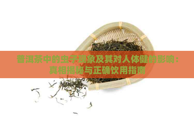 普洱茶中的虫子现象及其对人体健的影响：真相揭秘与正确饮用指南