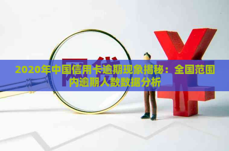 2020年中国信用卡逾期现象揭秘：全国范围内逾期人数数据分析