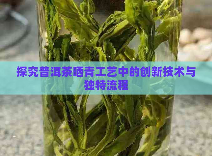 探究普洱茶晒青工艺中的创新技术与独特流程