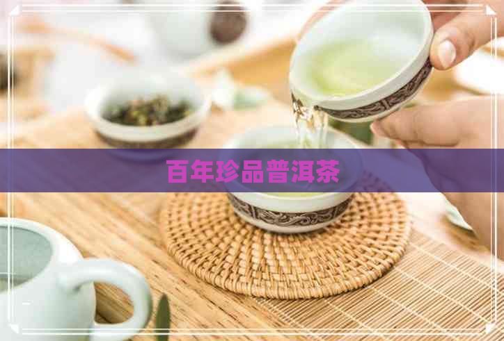 百年珍品普洱茶