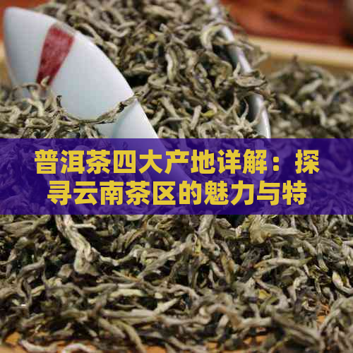 普洱茶四大产地详解：探寻云南茶区的魅力与特点