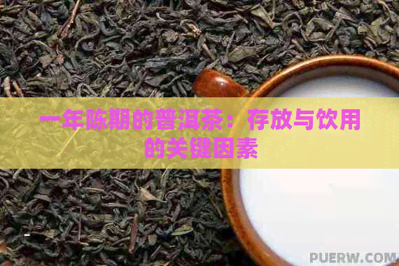 一年陈期的普洱茶：存放与饮用的关键因素