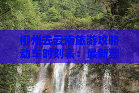 柳州去云南旅游攻略动车时刻表：最新票价及自由行指南