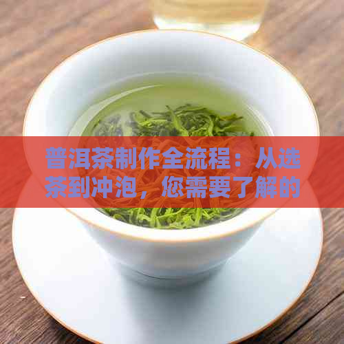 普洱茶制作全流程：从选茶到冲泡，您需要了解的一切入门工具和技巧